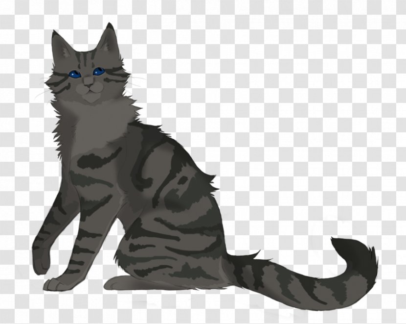 Warriors Cinderheart Erin Hunter ThunderClan Drawing - American Wirehair - Lithe Transparent PNG