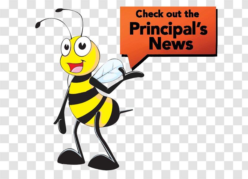 Honey Bee Longitudinal Data System Elementary School Head Teacher Transparent PNG