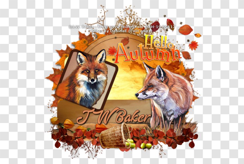 Red Fox Wildlife News - Mammal Transparent PNG