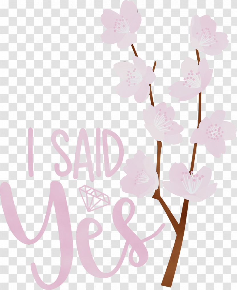 Floral Design Transparent PNG