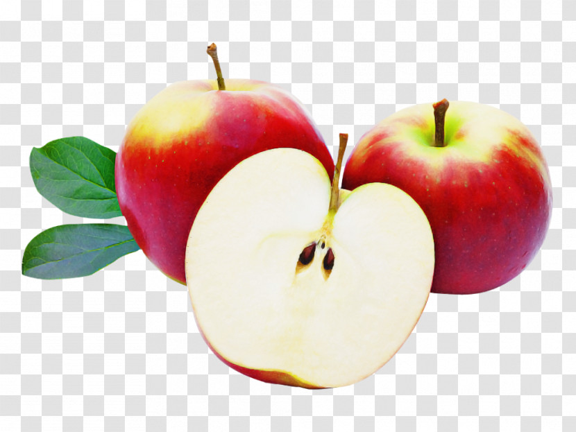 Fruit Natural Foods Food Apple Plant Transparent PNG