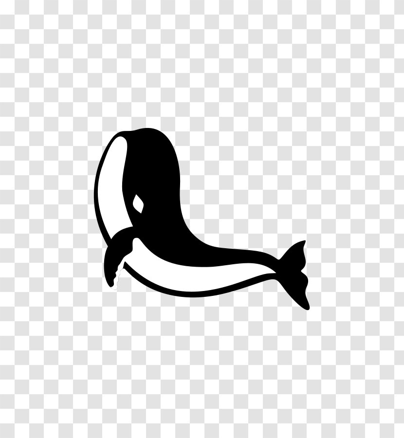 Shark Clip Art - Free Content - Vector Transparent PNG