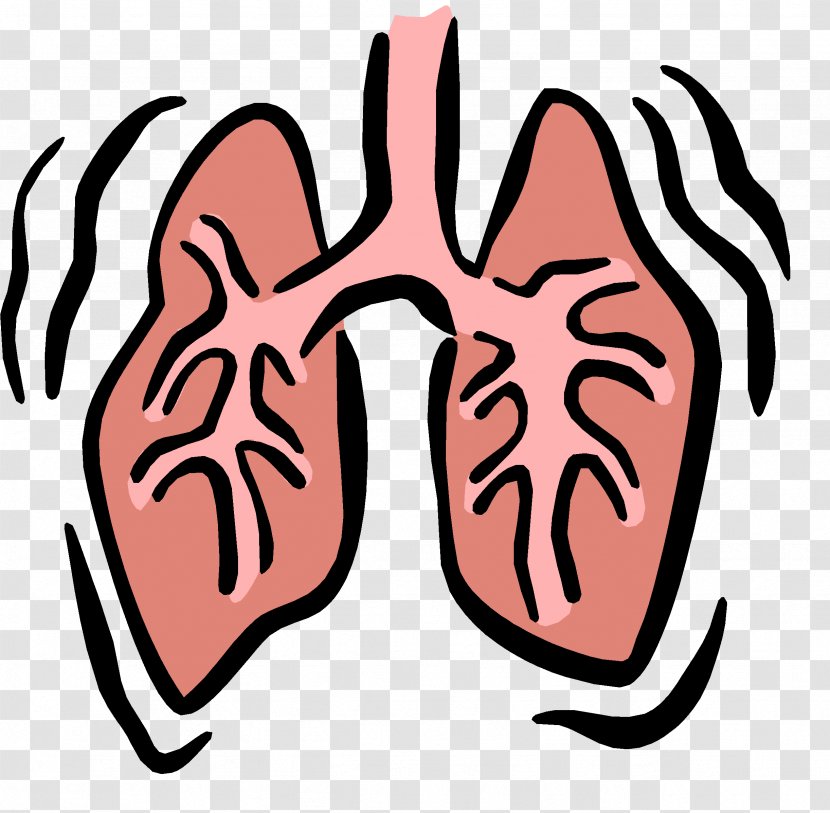 Respiratory System Therapist Respiration Failure Clip Art - Heart - Small Lungs Cliparts Transparent PNG