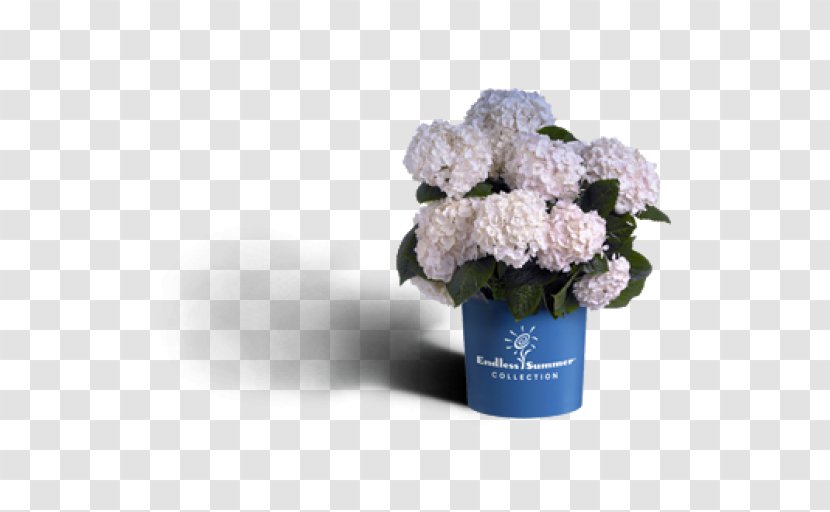 French Hydrangea Embryophyta Flower Shrub Bride - Bouquet - Hortensia Transparent PNG