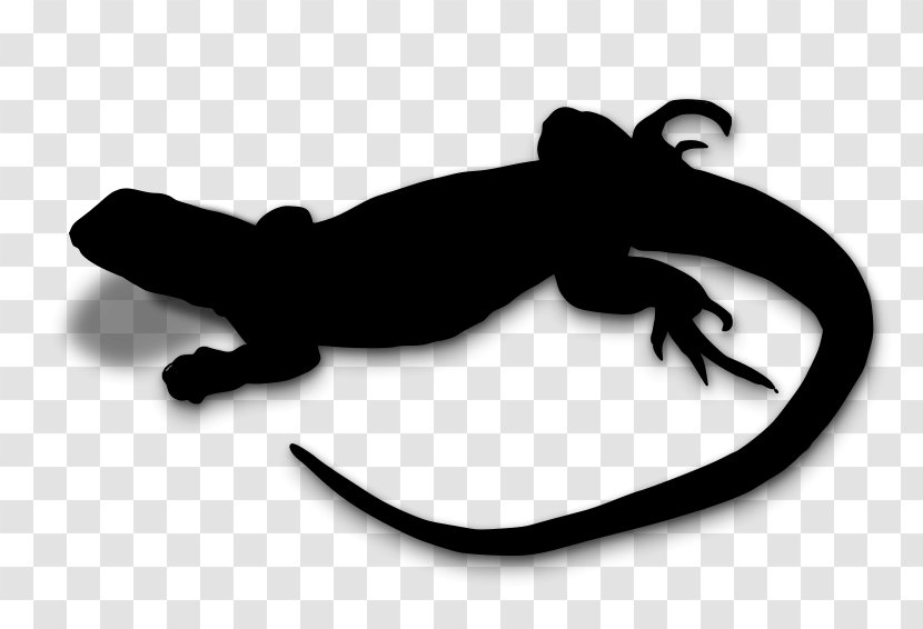 Amphibians Reptile Clip Art Silhouette - Amphibian Transparent PNG