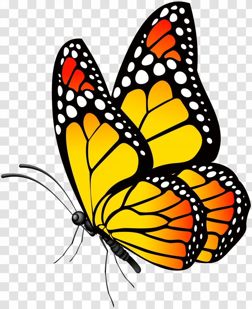 Butterfly Clip Art - Silhouette - Yellow Image Transparent PNG