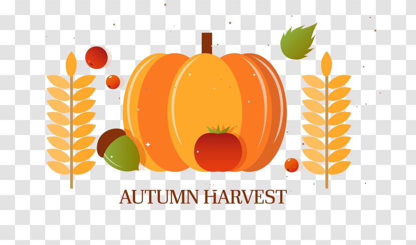 Pumpkin Autumn Harvest - Text - Cartoon Fall Big Transparent PNG