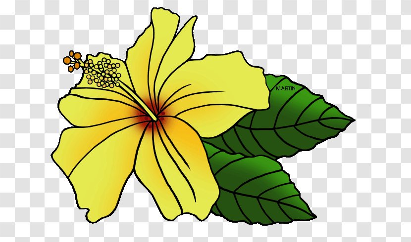 Hawaiian Hibiscus State Flower Clip Art - Cut Flowers - Mallow Family Transparent PNG