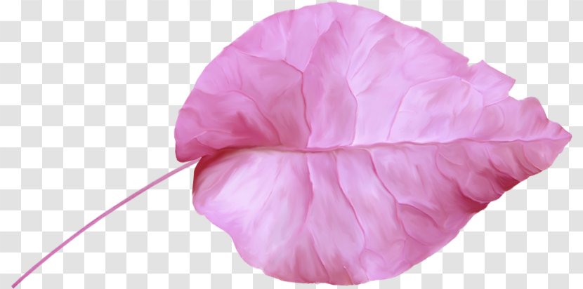Petal Pink M Cut Flowers RTV Flowering Plant - Leaf Transparent PNG