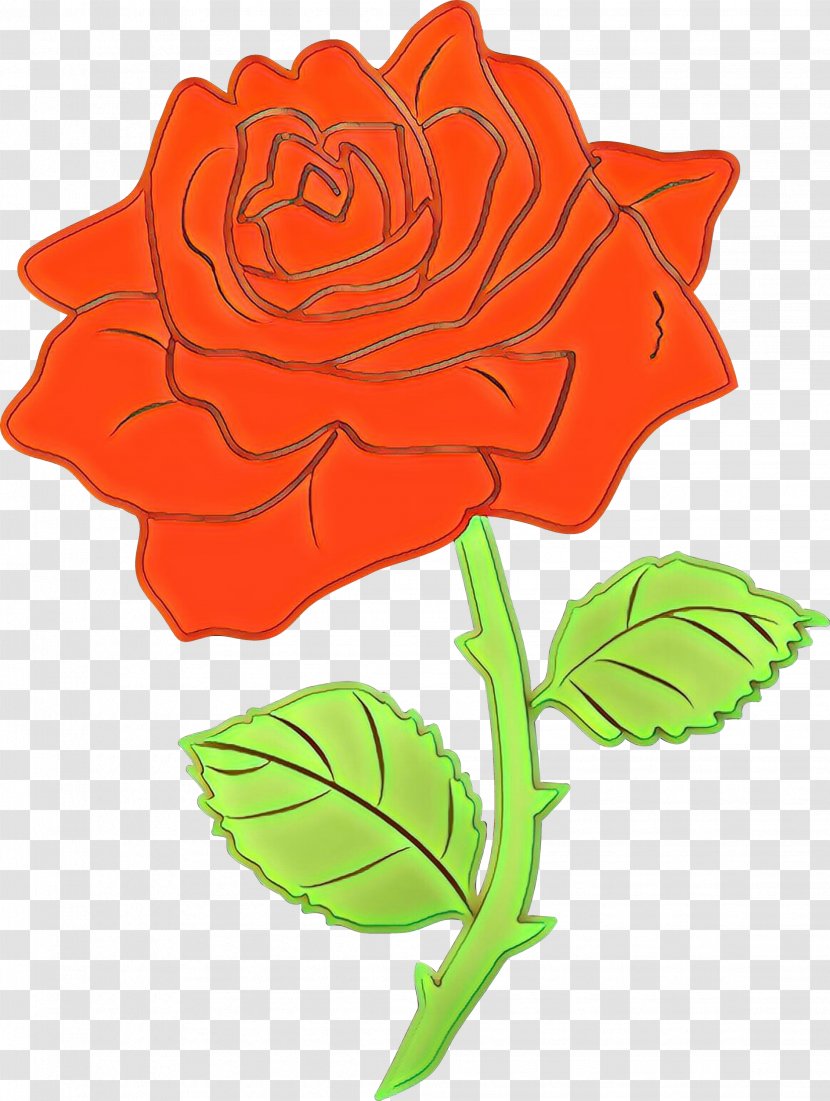 Garden Roses - Orange - Petal Hybrid Tea Rose Transparent PNG