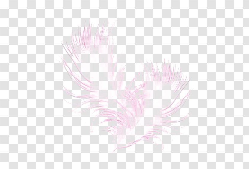 Textile Petal Pattern - Pink Feather Transparent PNG