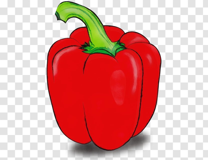 Natural Foods Bell Pepper Pimiento Vegetable Peppers And Chili - Paint - Food Plant Transparent PNG