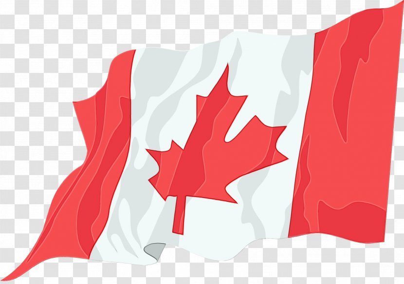 India Flag National - Red - Carmine Maple Transparent PNG