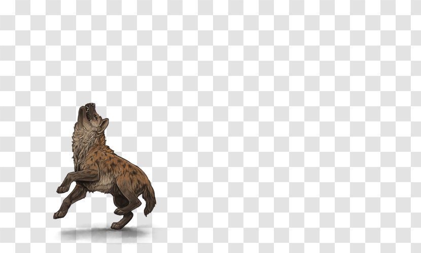 Striped Hyena Lion Cat Spotted - Wildlife Transparent PNG