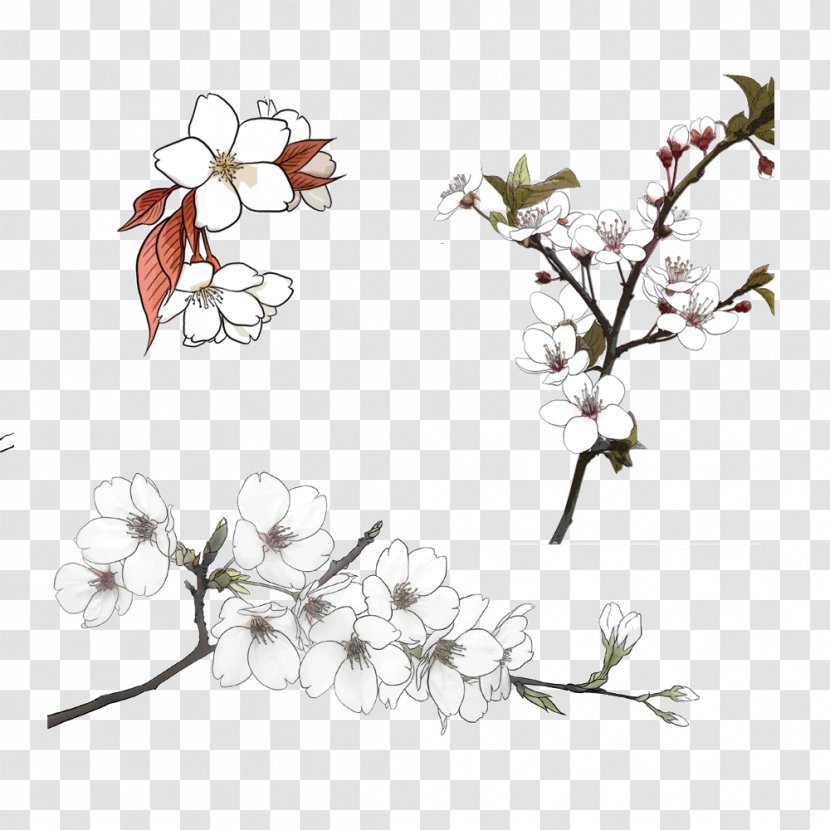 Flower - White - Creative Winter Plum Blossoms Transparent PNG