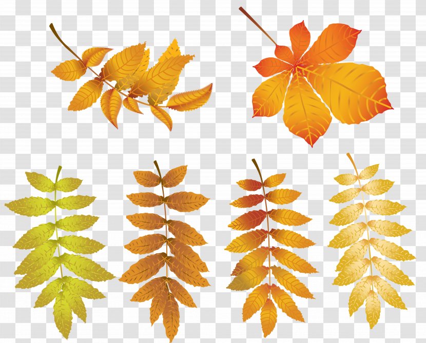 Autumn Clip Art - Pattern - Leaves Transparent Image Transparent PNG