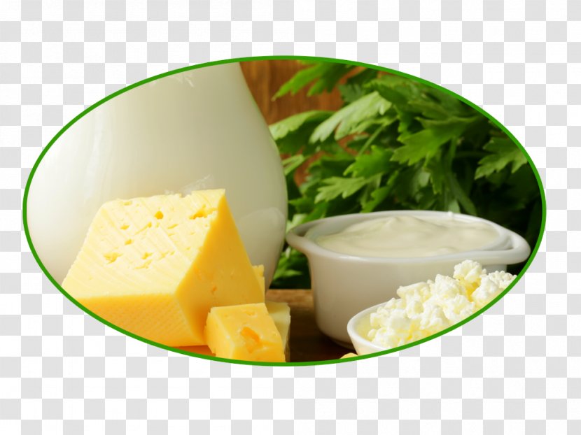 Milk And Products Dairy Cheese Adulterant - CheesE Butter Transparent PNG