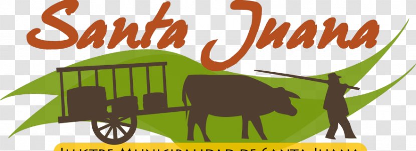 Cattle Logo Brand Municipality Of Santa Juana - Paper Clip - Monumento Al Campesino Transparent PNG
