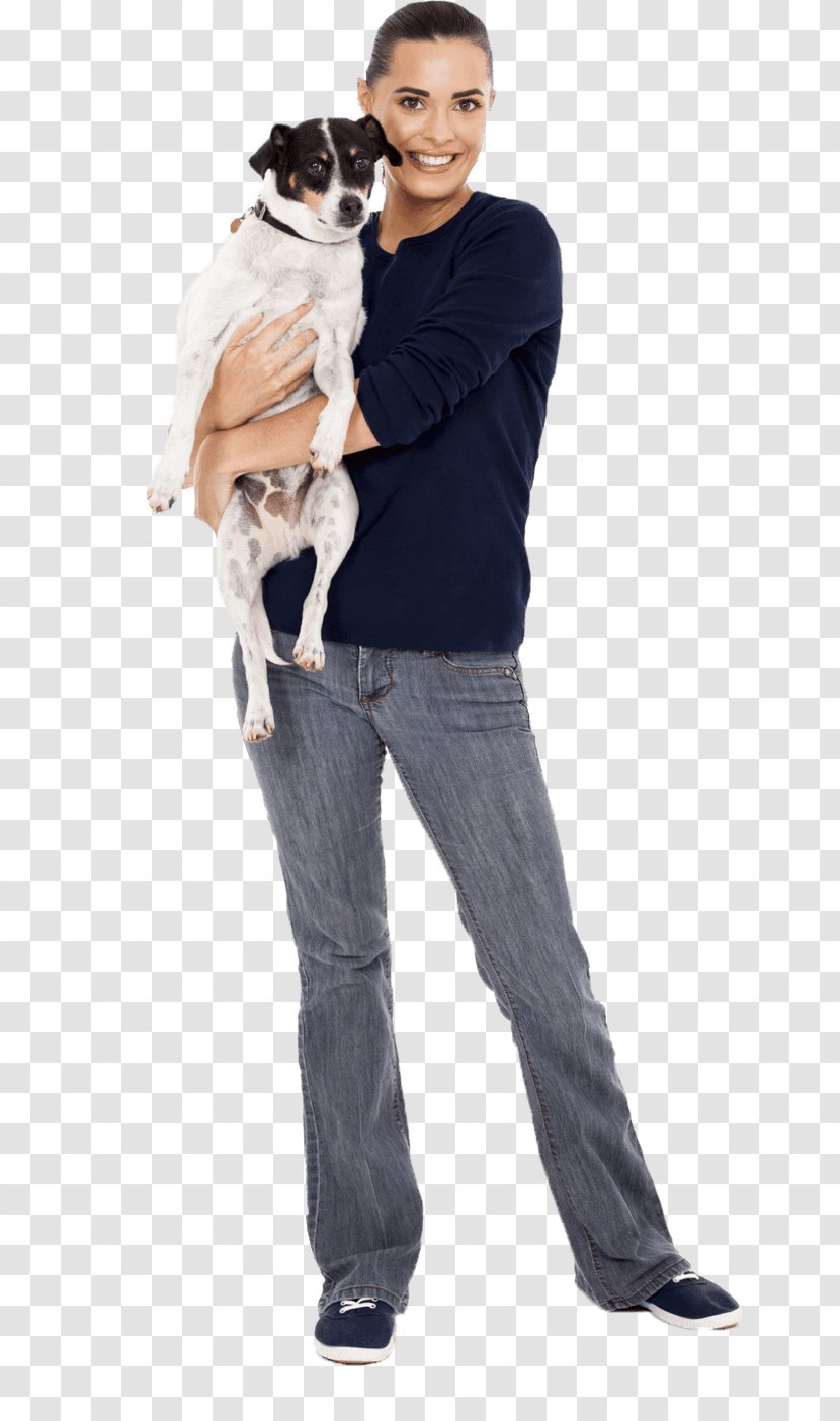 Dog Breed Stock Photography Puppy Training - Leash - Curtain Call Transparent PNG
