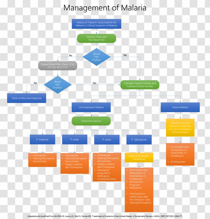 Artesunate Squamous Intraepithelial Lesion Cervical Neoplasia Malaria Pap Test - Area - Health Management Transparent PNG