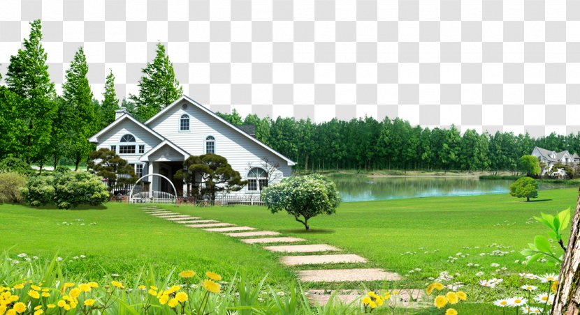 Humidifier - Yard - Rural House Of Forest Lawn Background Material Transparent PNG