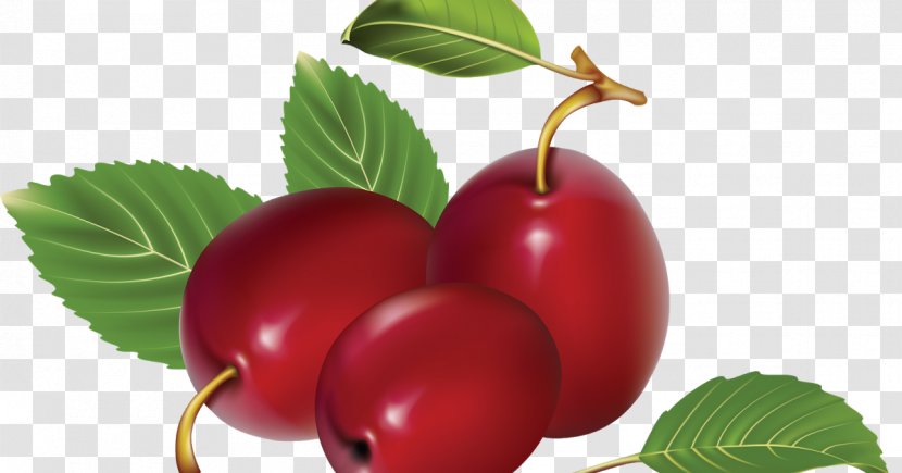 Image File Formats Clip Art - Cherry Transparent PNG