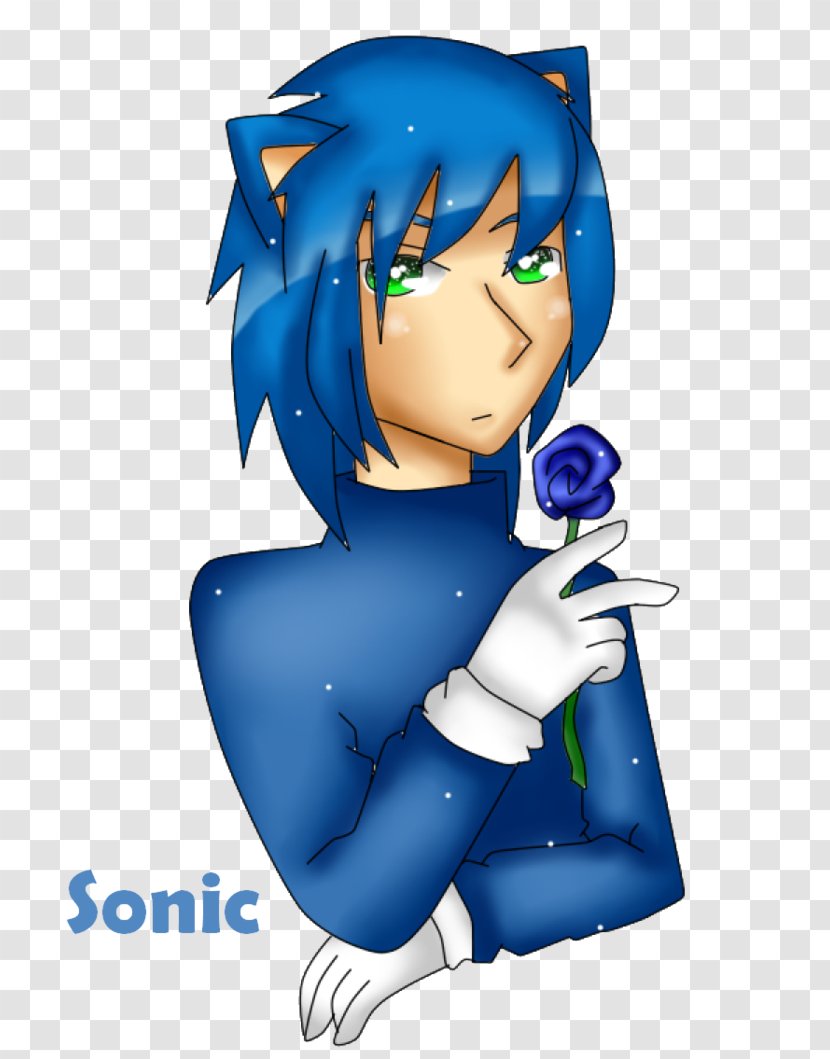 Homo Sapiens Sonic The Hedgehog Drawing - Heart - Human Form Transparent PNG