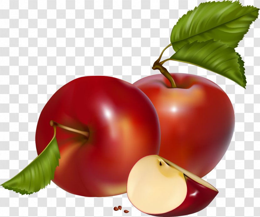 Apple Clip Art - Acerola - Fruit Transparent PNG