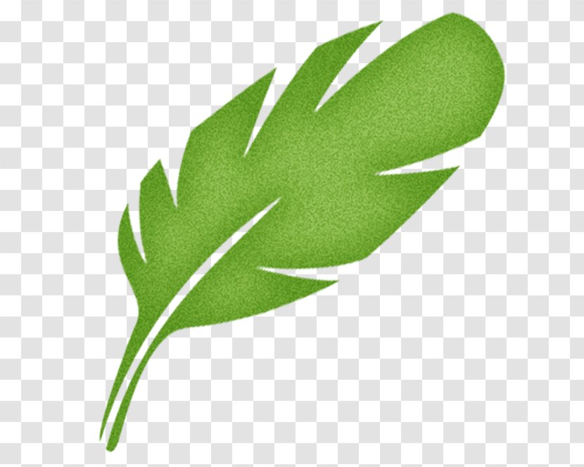 Plant Stem Fishing House Father Money - Green Feather Transparent PNG