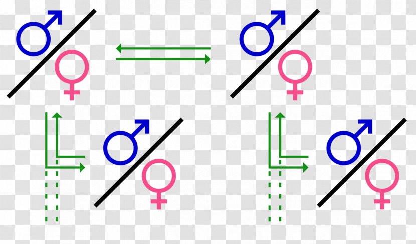 Polygamy Group Marriage Monogamy Gender Symbol - Male Transparent PNG