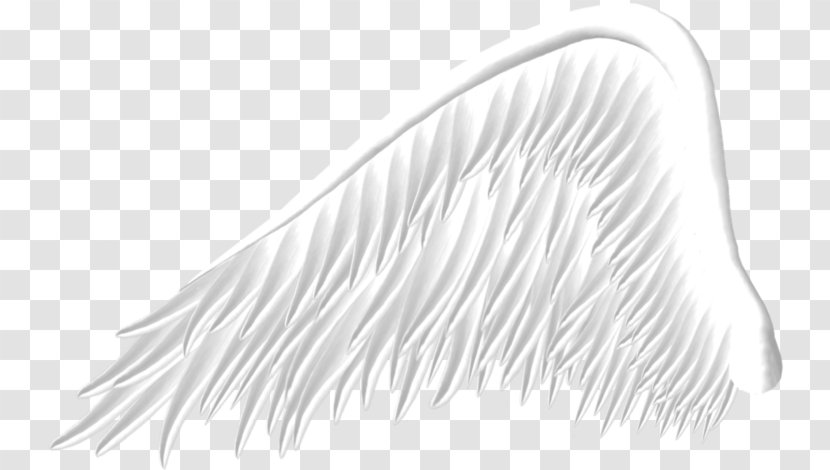Wing Clip Art - Document - Great Wings Transparent PNG
