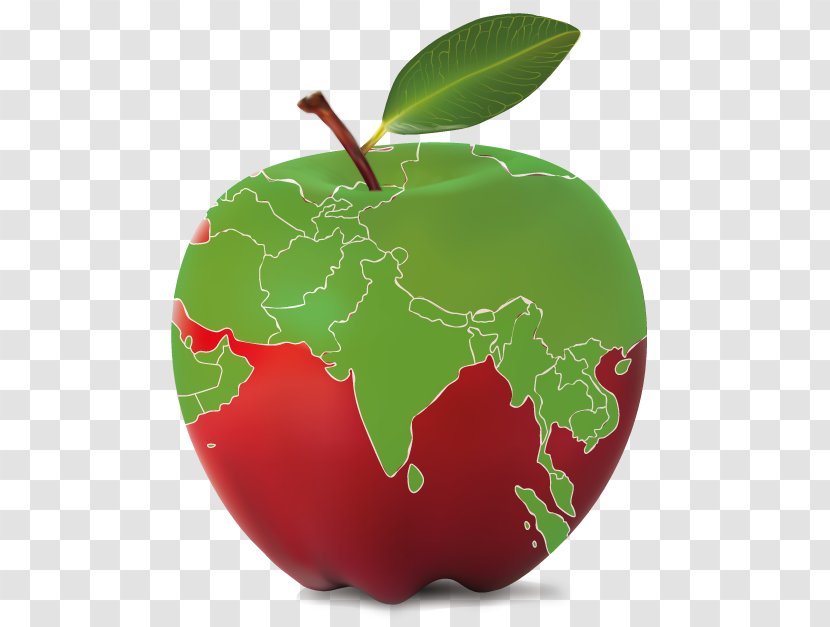 Apple Curriculum Chandigarh Education Common Core State Standards Initiative Transparent PNG