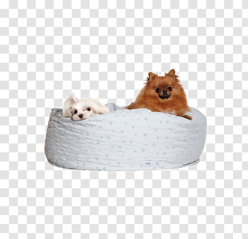 Dog Breed Pomeranian Puppy Companion Bed Transparent PNG