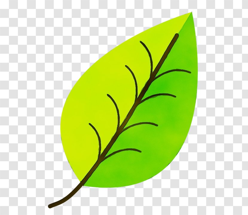 Leaf illustration hi-res stock photography and images - Alamy