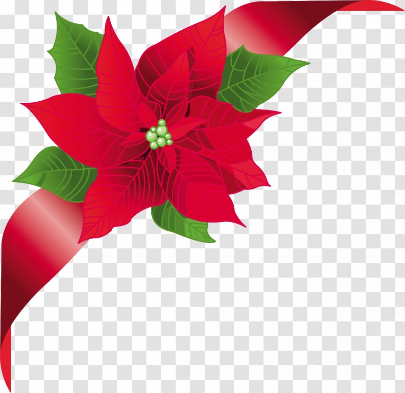 Poinsettia Clip Art - Christmas Ornament - Gift Transparent PNG