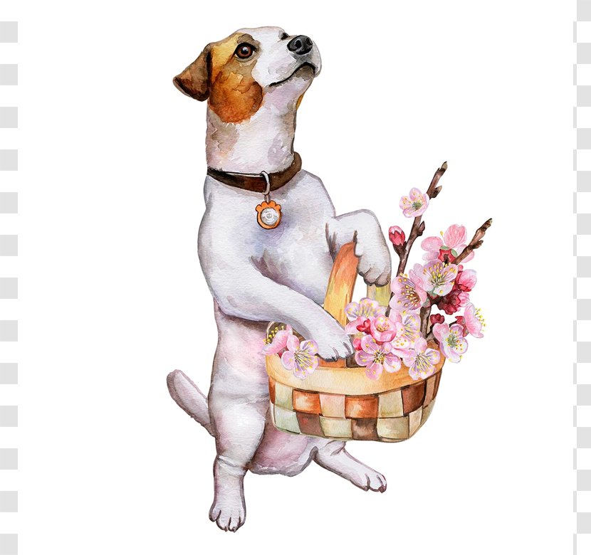 Jack Russell Terrier Puppy Illustration Image Dog Behavior - Companion Transparent PNG