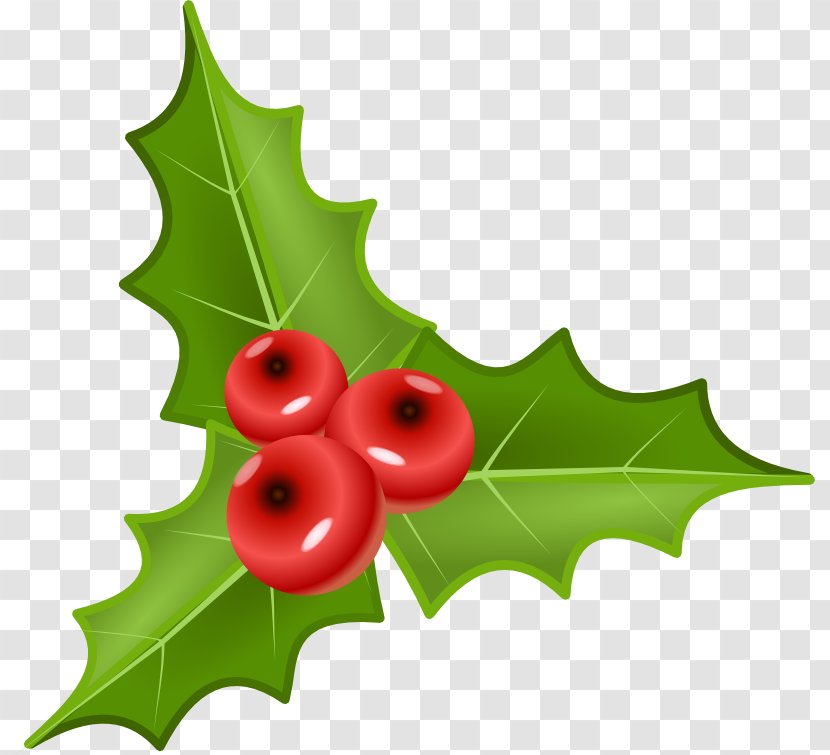 Berry Common Holly Clip Art - Free Content - Mistletoe Cliparts Transparent Transparent PNG