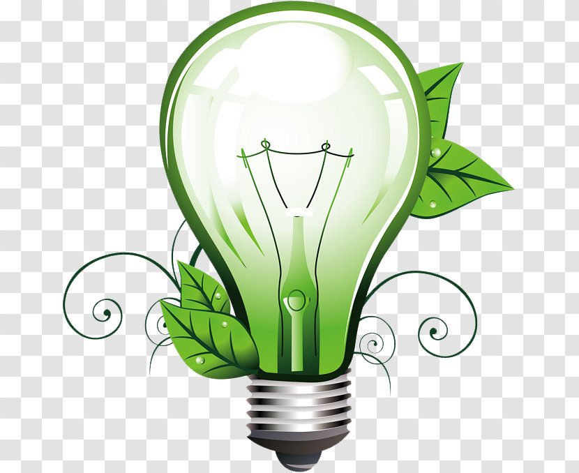 Light Bulb Cartoon - Incandescent - Plant Compact Fluorescent Lamp Transparent PNG