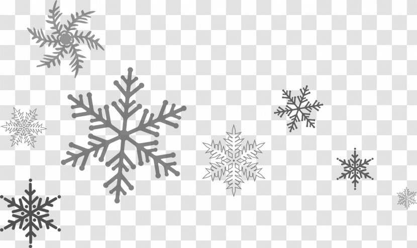 Snowflake Page Footer Ice Solution - Salt Transparent PNG