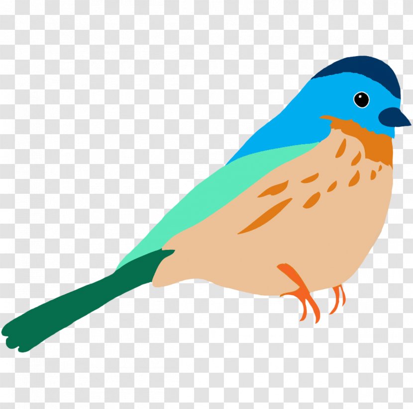 Bird Desktop Wallpaper Clip Art - Tail Transparent PNG