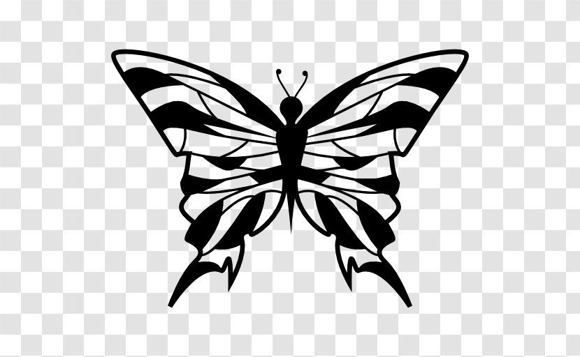 Monarch Butterfly Moth Symmetry Clip Art - Wing Transparent PNG