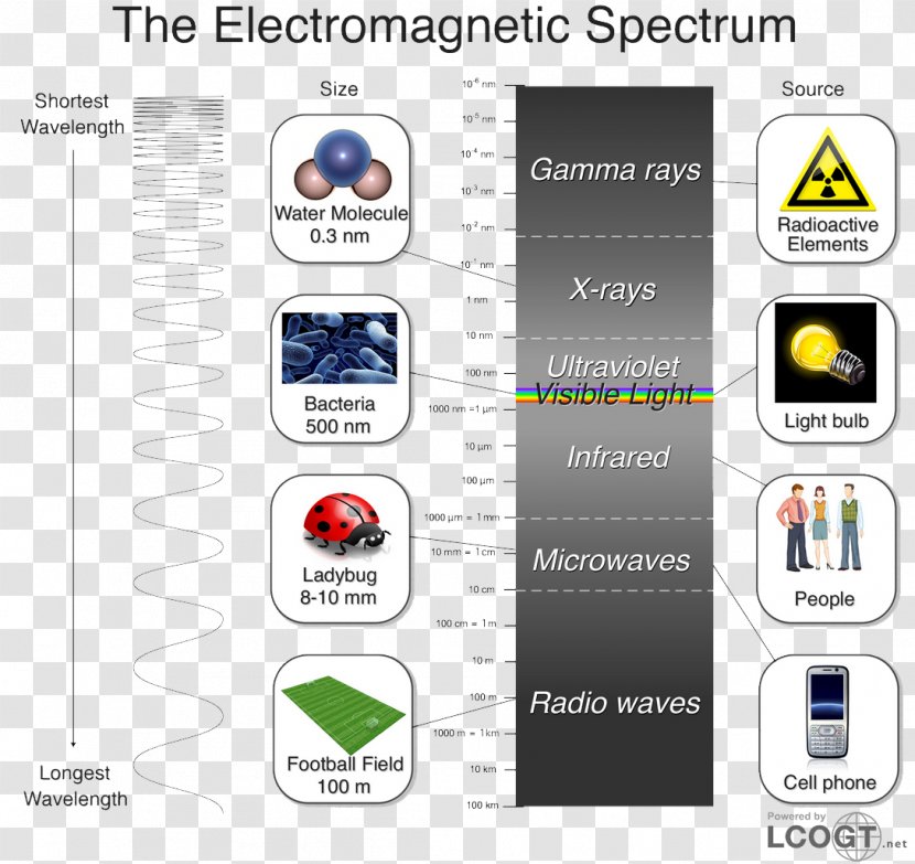 Light Electromagnetic Spectrum Infrared Wavelength Ultraviolet - Technology Transparent PNG