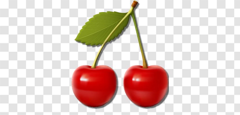 Cherry Pie Clip Art - Fruit Transparent PNG