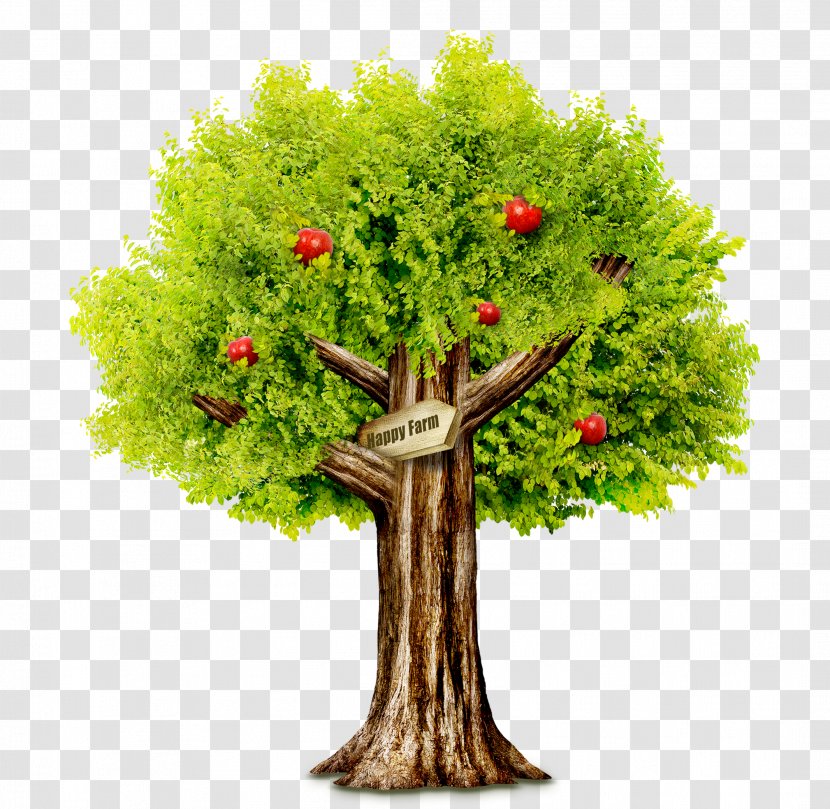 Health Green Chronic Condition Disease - Grass - Apple Tree Transparent PNG