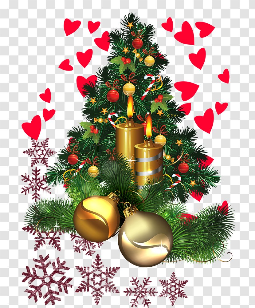 Christmas Tree Gift - Evergreen - Covered With Gifts And Red Love Transparent PNG