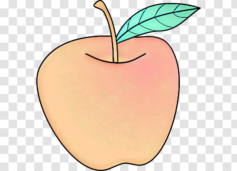 Apple Tree - Fruit - Malus Drupe Transparent PNG