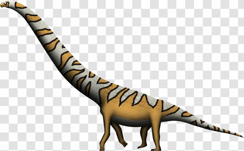 Velociraptor Dreadnoughtus Tyrannosaurus Giraffatitan Alamosaurus - Titanosaur - Dinosaur Transparent PNG