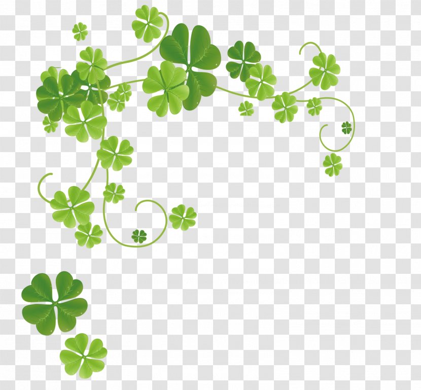 Four-leaf Clover Xiaoshu - Branch Transparent PNG