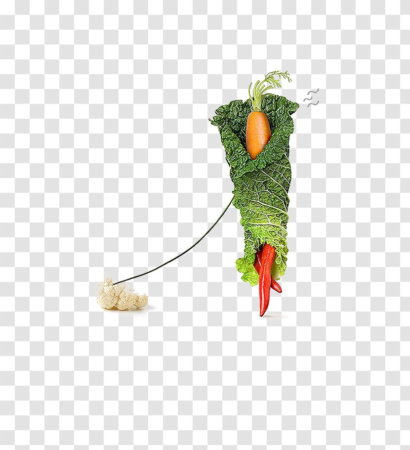 Carrot Vegetable Food Creativity Photography - Tree - Creative Transparent PNG