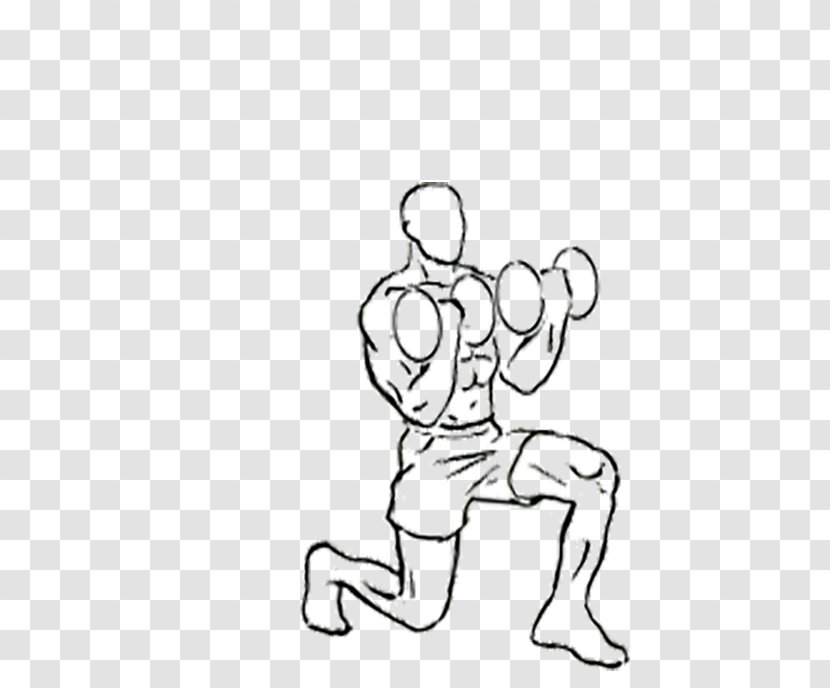 Biceps Curl Dumbbell Bench Exercise Weight Training - Frame Transparent PNG